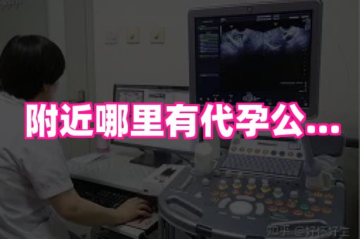 梦美助孕网 1