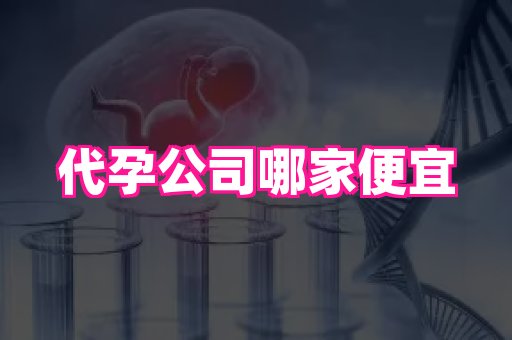 梦美助孕网 3
